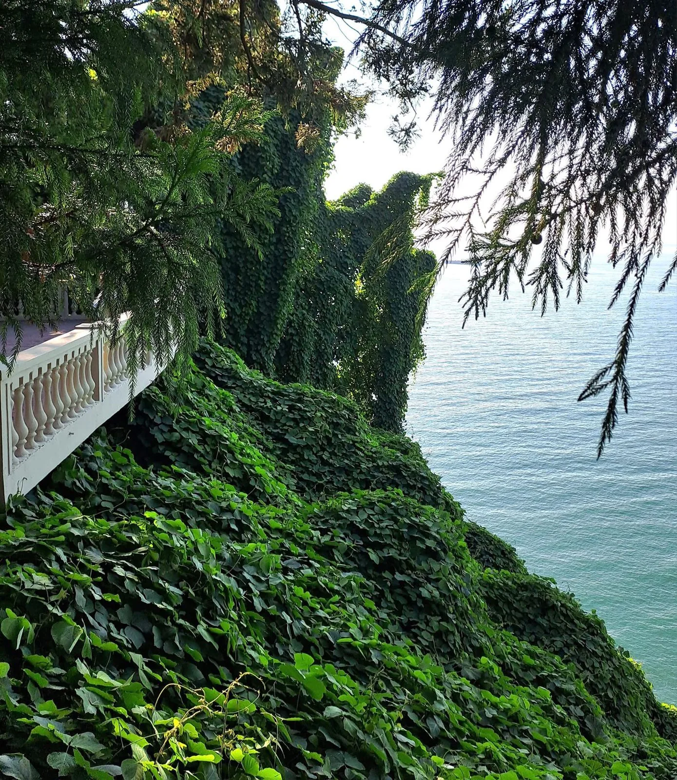 Batumi Botanical Garden