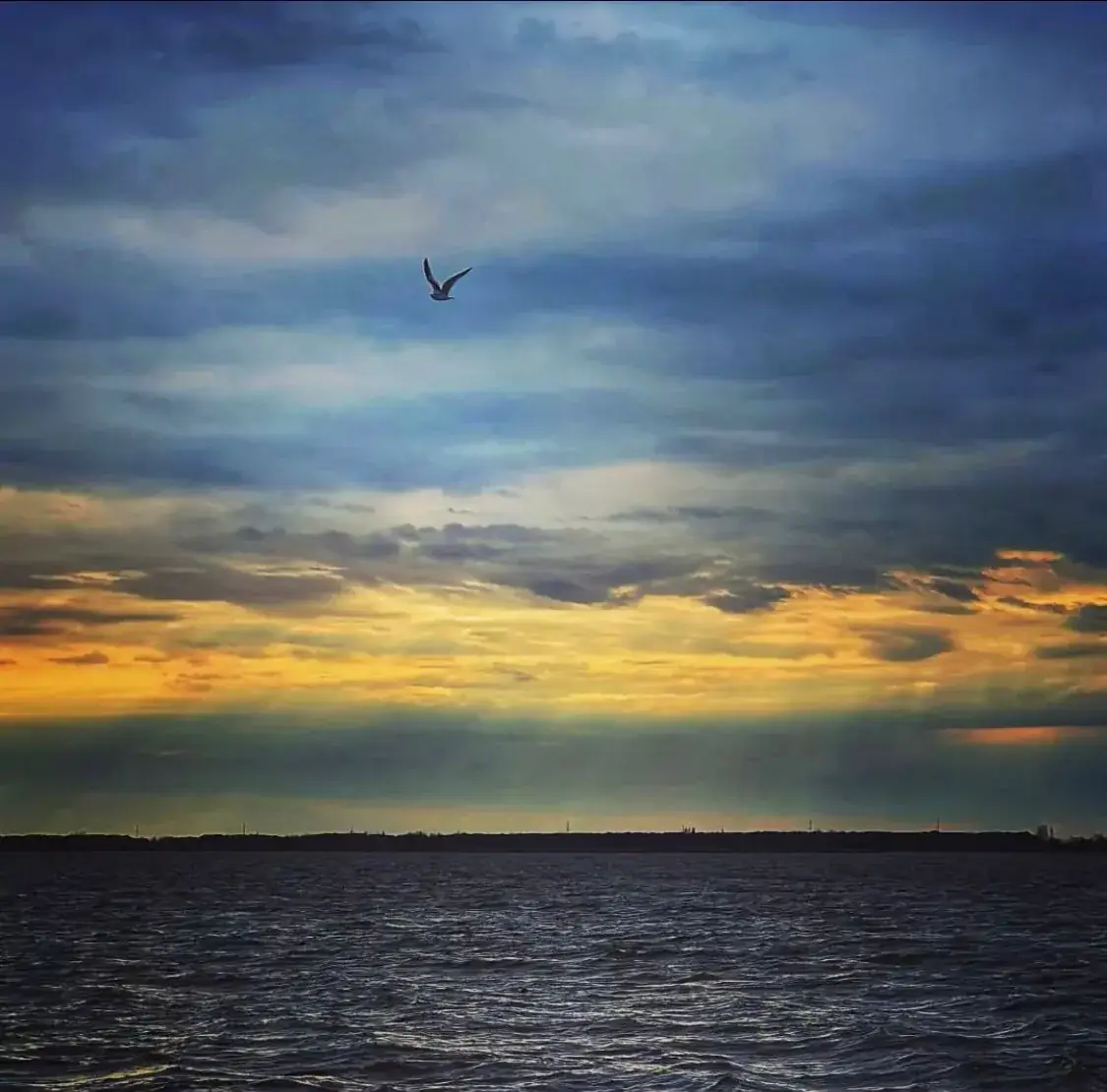 Paragraph Resort & Spa Shekvetili in Georgia