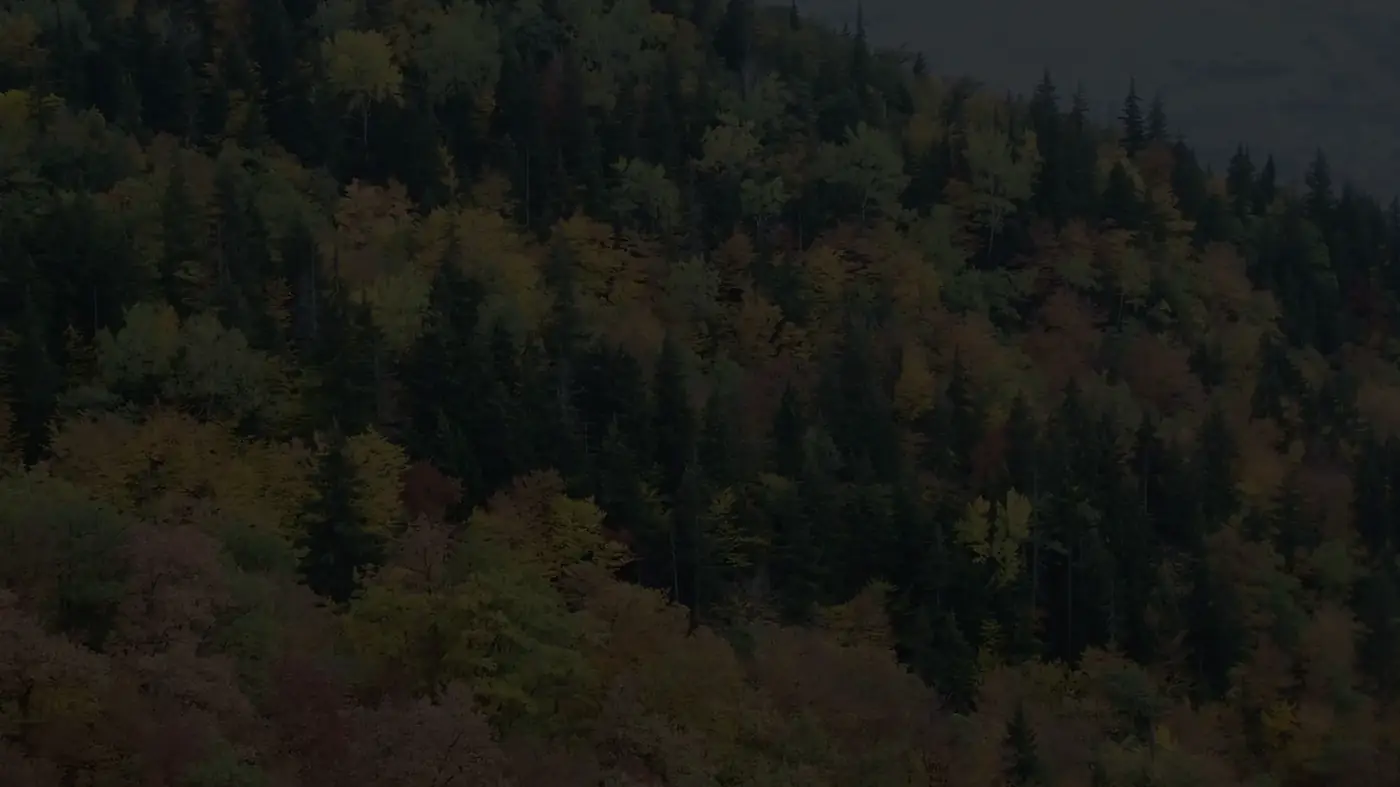 More routes from Algeti National Park — Use the departure-side hub to compare sibling routes without losing the same anchor. in Georgia More routes from Algeti National Park — Use the departure-side hub to compare sibling routes without losing the same anchor. in Georgia