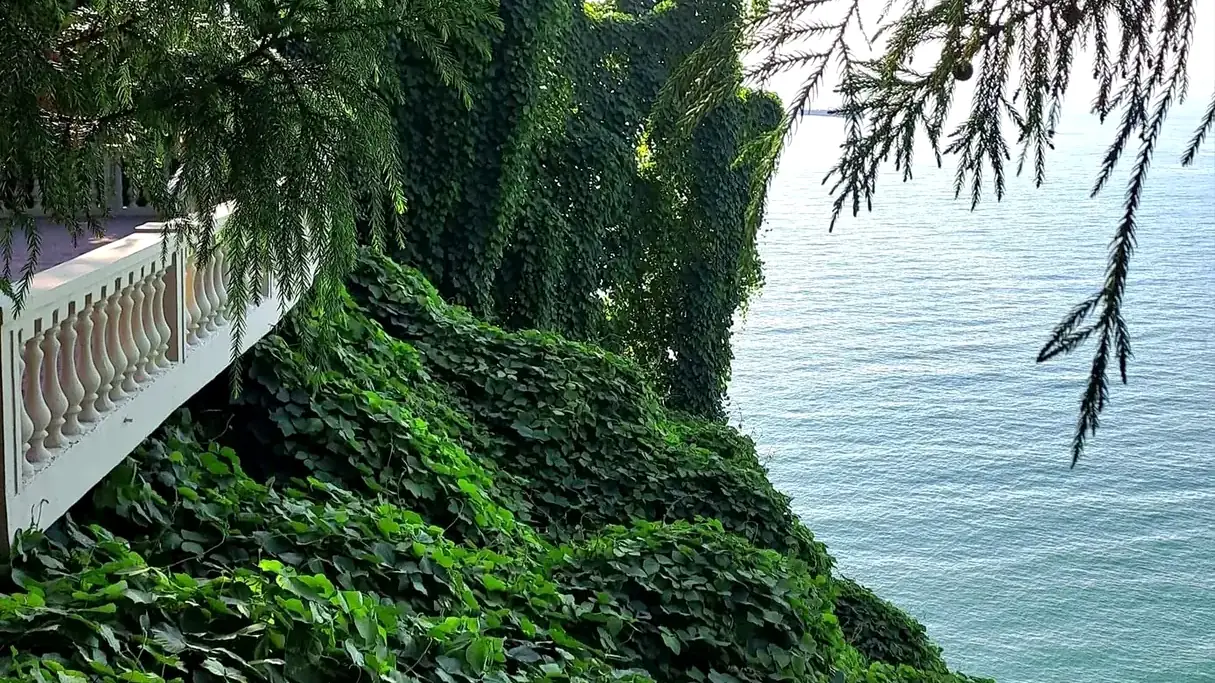 ბათუმის ბოტანიკური ბაღი — Destination page with arrival tips, nearby routes and the next useful steps for this trip. in Georgia