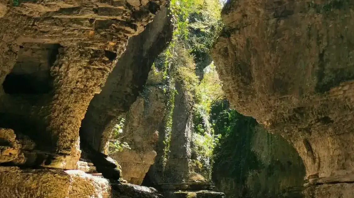 Вардзия to Мартвили